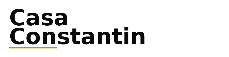 Casa Constantin logo